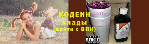 ГАЛЛЮЦИНОГЕННЫЕ ГРИБЫ Аркадак