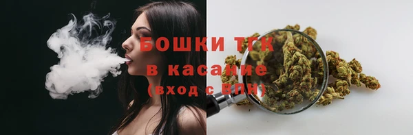 амф Арсеньев
