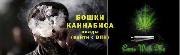 амф Арсеньев