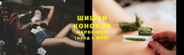 ГАЛЛЮЦИНОГЕННЫЕ ГРИБЫ Аркадак