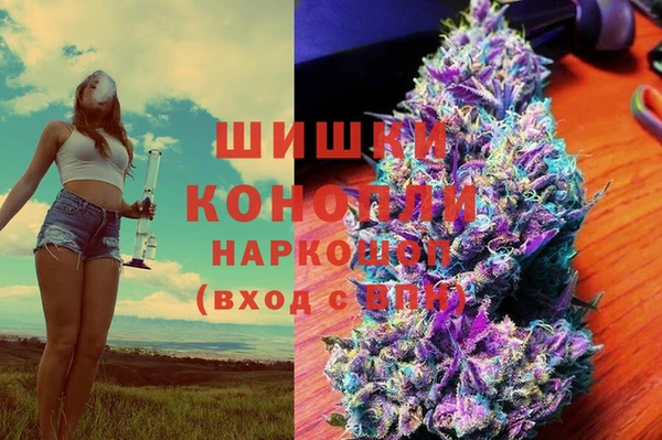 ГАЛЛЮЦИНОГЕННЫЕ ГРИБЫ Аркадак