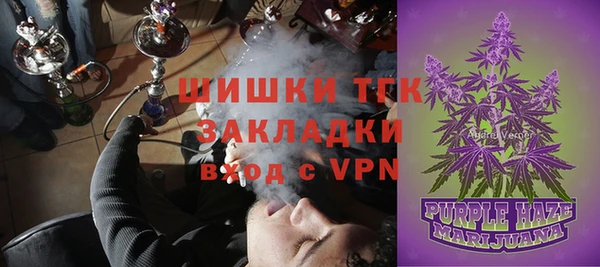 амф Арсеньев