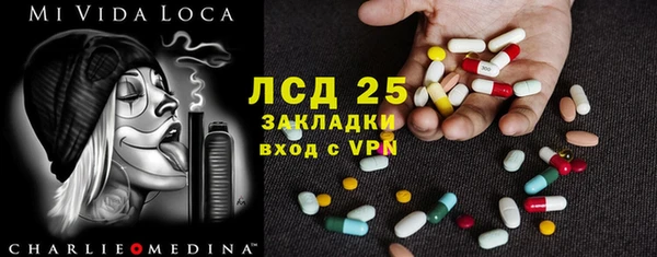 ГАЛЛЮЦИНОГЕННЫЕ ГРИБЫ Аркадак