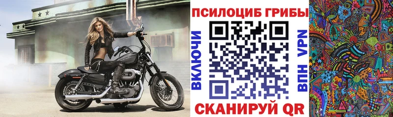 Псилоцибиновые грибы мухоморы  Сунжа 